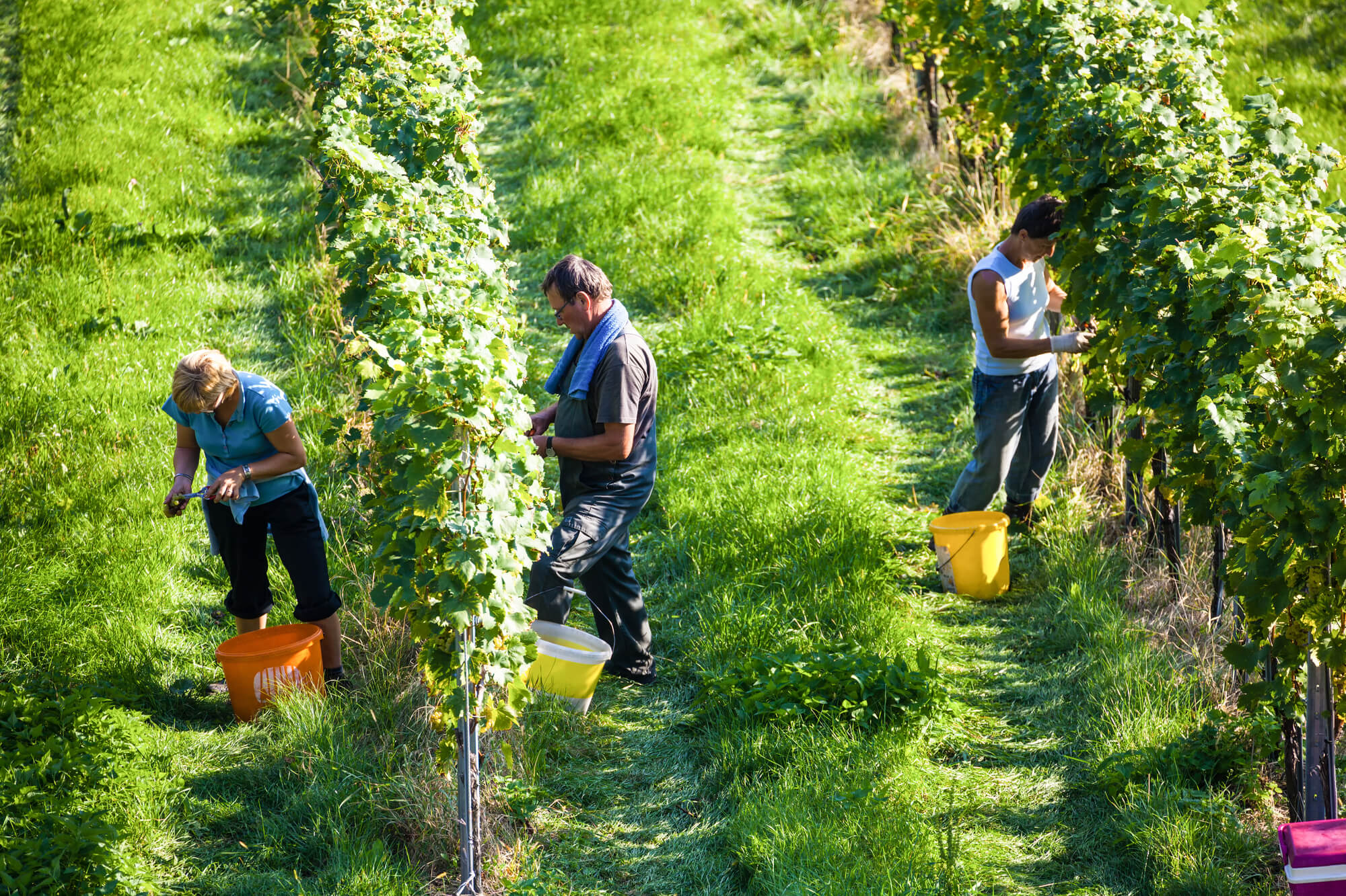 Do I File Taxes for a Seasonal Job?